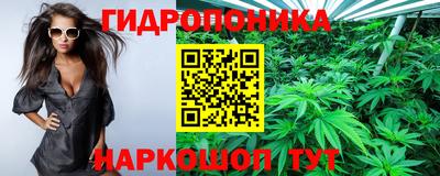 марки nbome Заводоуковск