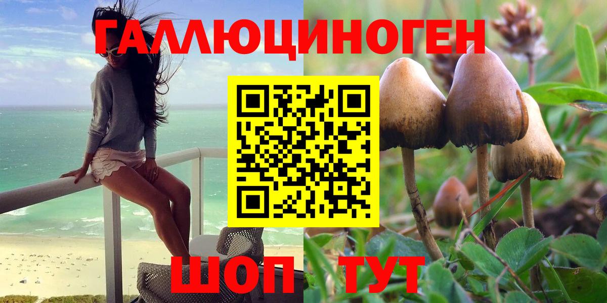 Псилоцибиновые грибы GOLDEN TEACHER Кубинка