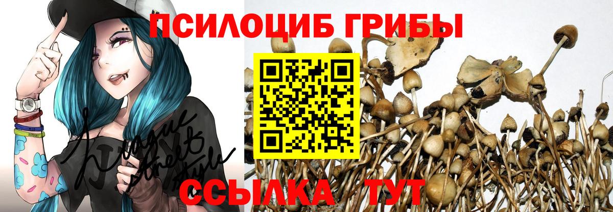 Галлюциногенные грибы Psilocybe  Вход с VPN  Кубинка  Псилоцибиновые грибы мицелий 